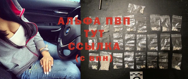 прущие грибы Волосово
