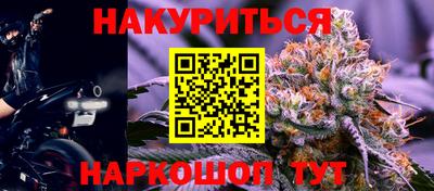 прущие грибы Бийск