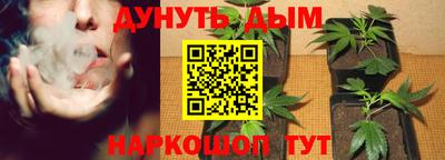 прущие грибы Бийск