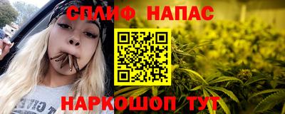 прущие грибы Бийск