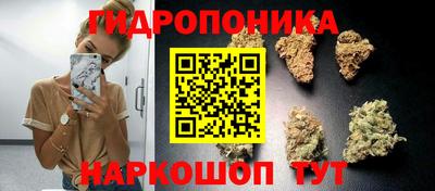 бошки Берёзовский