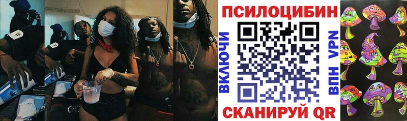 Галлюциногенные грибы MAGIC MUSHROOMS  где продают наркотики  Гуково 