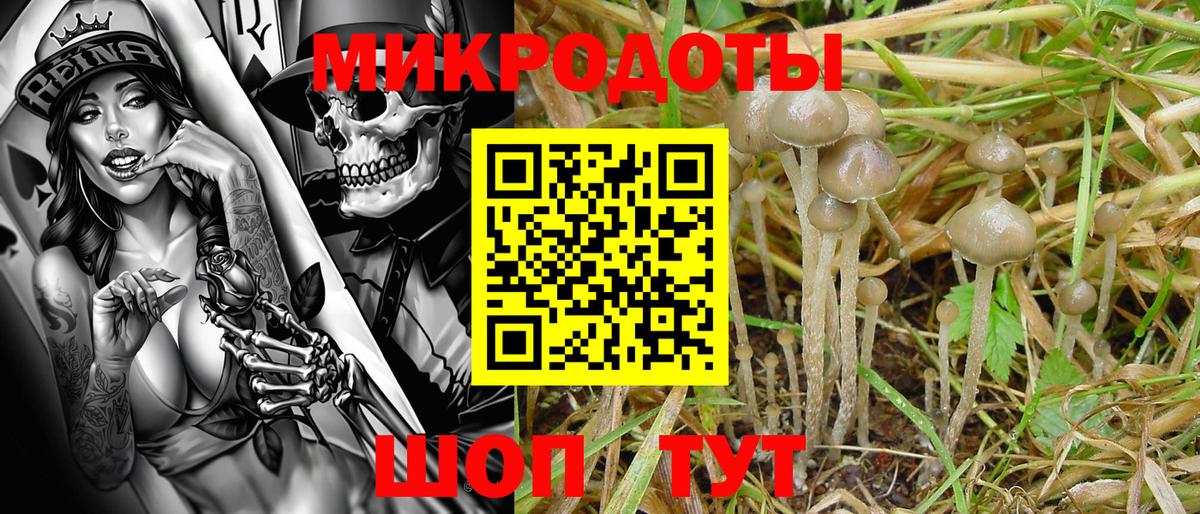 Галлюциногенные грибы GOLDEN TEACHER Гуково