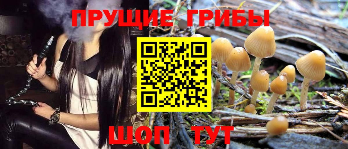 Гуково  Псилоцибиновые грибы мухоморы  Вход с VPN 