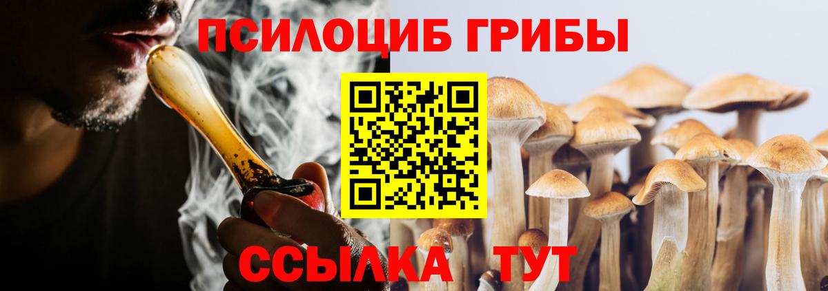 Галлюциногенные грибы Magic Shrooms Гуково