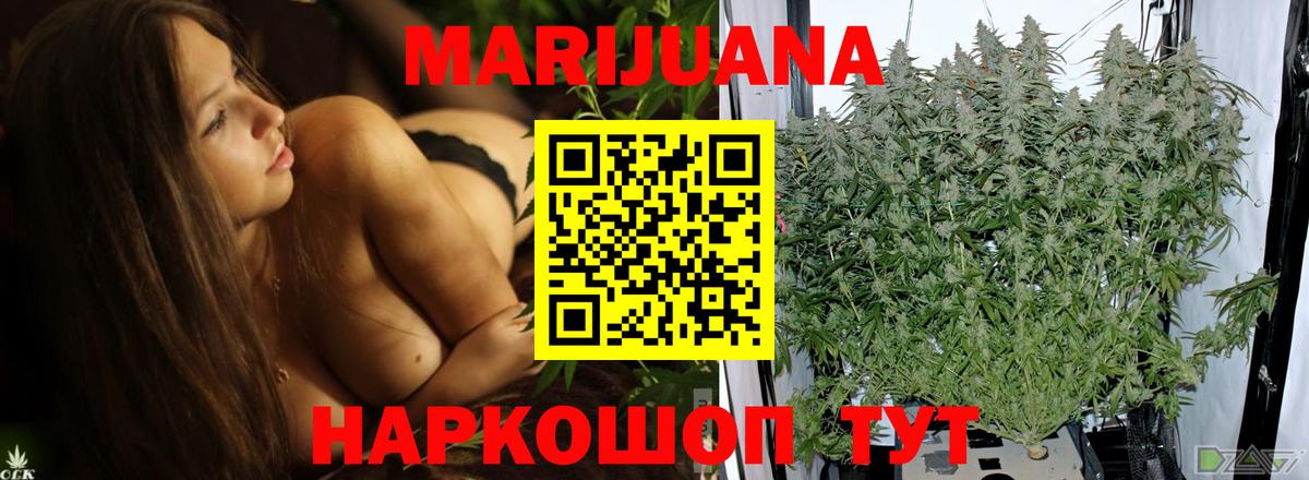 Конопля Bruce Banner Гуково